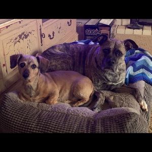 Meet your Posher, Karen